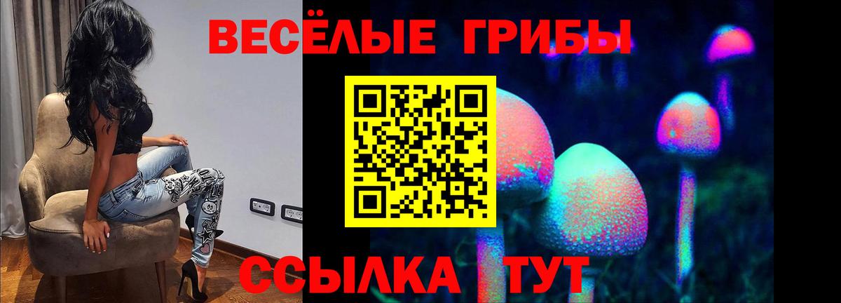 Псилоцибиновые грибы мухоморы  Псилоцибиновые грибы ЛСД  Вход с VPN  Мурманск 
